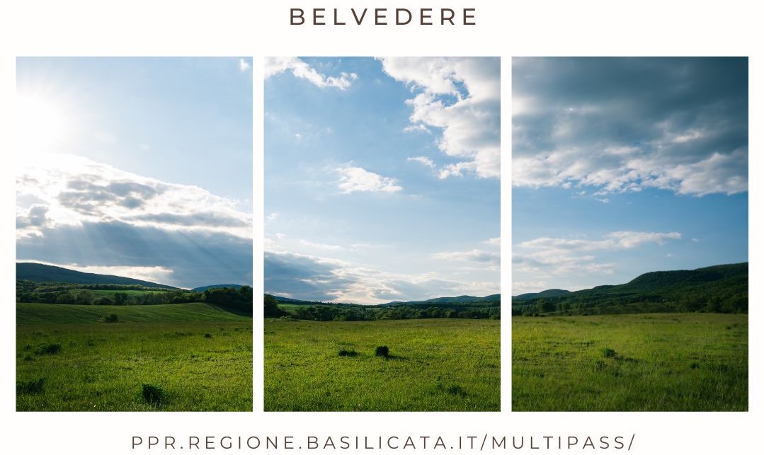BELVEDERE
